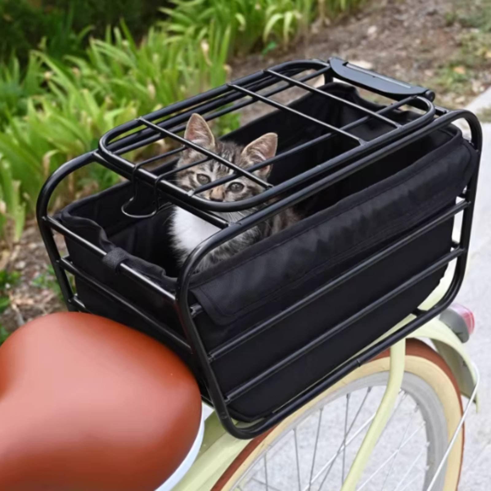 Fietsmand voor honden, stevige - Bike Cargo Rack recensie en prijs